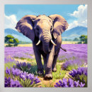 Suche nach lila elefant poster Lavendel