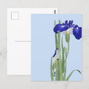 Suche nach koson postkarten Iris