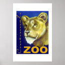 Suche nach zoo poster Lion