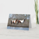 Suche nach assateague karten Pferd