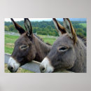 Suche nach animal farm poster Nature