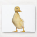 Suche nach woche mousepads Tier