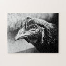 Suche nach huhn puzzle Vogelvogel