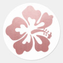 Suche nach hibiskus aufkleber Strand