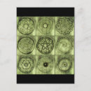 Suche nach alchemie postkarten Fantasie