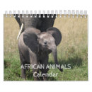 Suche nach afrikanisch kalender Löwe