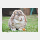 Suche nach hase geschirr tücher Für alle