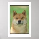 Suche nach shiba inu poster Hund