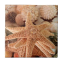 Suche nach muscheln fliesen Seashell