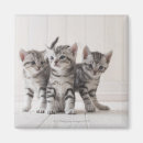 Suche nach fußboden magnete Babys