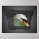 Suche nach regal poster Fotografie