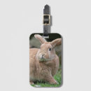 Suche nach osterhase gepäckanhänger Glücklicher oster