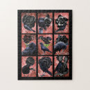 Suche nach raben puzzle Vögel