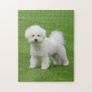 Suche nach friseur puzzle Hund