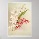 Suche nach exotische orchideen poster Blumenreich