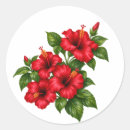 Suche nach roter hibiskus aufkleber Rote blume