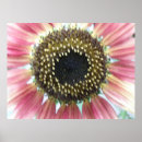 Suche nach pretty poster Photography