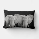Suche nach elefant foto kissen Wild