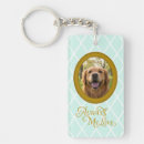 Suche nach golden retriever geschenke Hunde