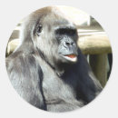 Suche nach lustiger gorilla aufkleber Niedlich