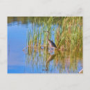 Suche nach lebendes wasser postkarten Natur