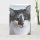 Suche nach katze valentinstagskarten Valentin tageskarte