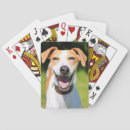 Suche nach lustiges bild spielkarten Natur