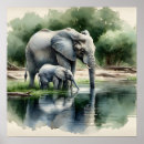 Suche nach baby elephant poster Afrika