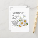 Suche nach kamille postkarten Chamomile flowers