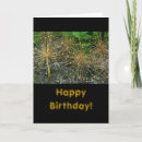 Suche nach ungewöhnlich geburtstag karten Fotografie