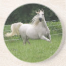 Suche nach arabische pferde untersetzer Araber