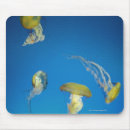 Suche nach qualle mousepads Unterwasser