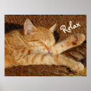 Suche nach siesta poster Nickerchen