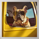Suche nach canine poster Pet