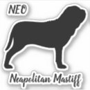 Suche nach mastiff Haustiere