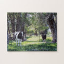 Suche nach rinder puzzle Kalb