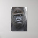 Suche nach gorilla kunst Wild lebende tiere