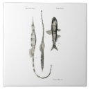 Suche nach rohr untersetzer Strand