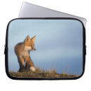 Suche nach nordamerika laptop schutzhüllen Säugetier