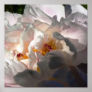Suche nach licht und schatten poster Kontrast