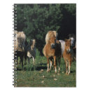 Suche nach miniatur kleine notizbücher Fohlen