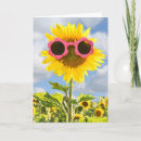 Suche nach rosa sonnenbrille karten Für alle