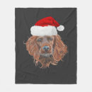 Suche nach irish setter decken Welpe