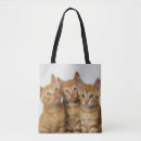 Suche nach ingwer taschen Katze