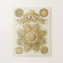 Suche nach ernst haeckel puzzle Meer