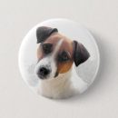 Suche nach russell buttons Haustier