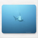 Suche nach vorderansicht mousepads Meereswelt