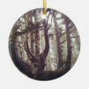 Suche nach kraken ornamente Natur