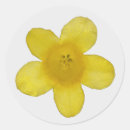 Suche nach jasmin aufkleber Blume