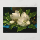 Suche nach velvet postkarten Gemälde aus der blume